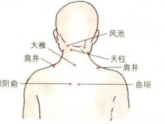 古人养生从不花钱 全靠按这十个穴位